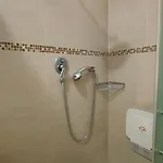 Olivo 229 *