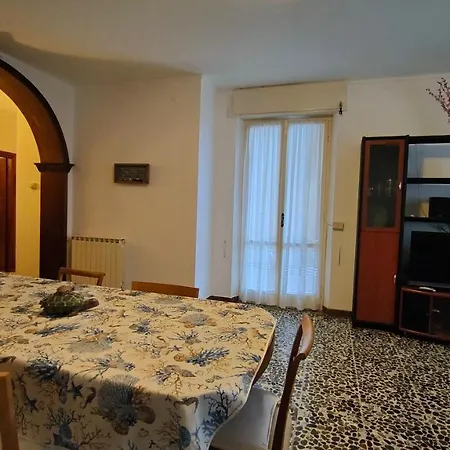 Olivo 229