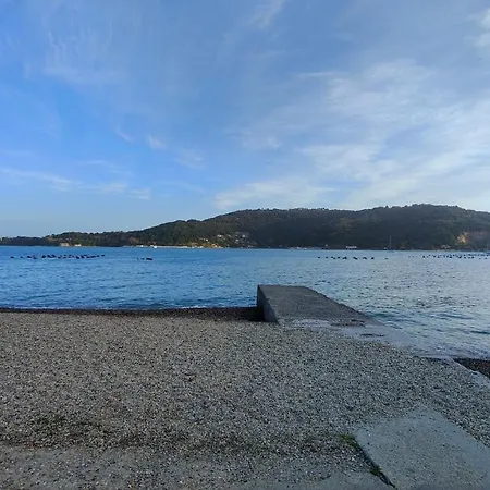 Olivo 229 Porto Venere