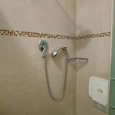 Olivo 229 *