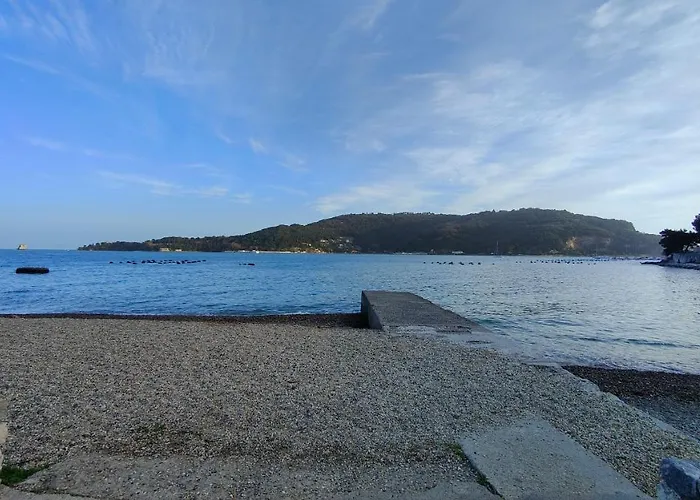 Olivo 229 Portovenere