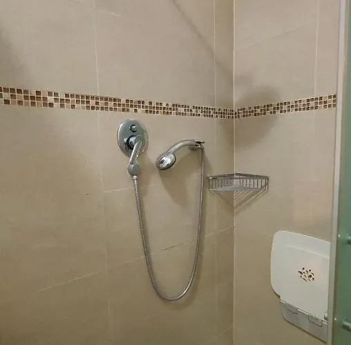 Olivo 229 *